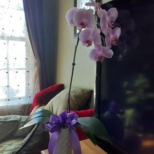 Meet your Posher, Posh